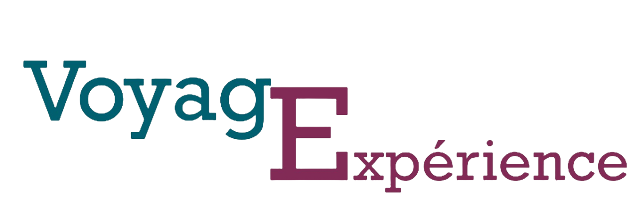 Logo Voyagexperience sans fond.png