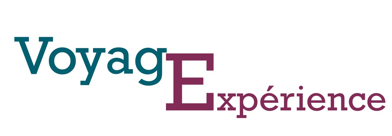 Logo Voyagexperience RECTANGLE 2.jpg